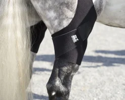 MACKINNON Ice Horse® Pony Stifle Wraps – Pair