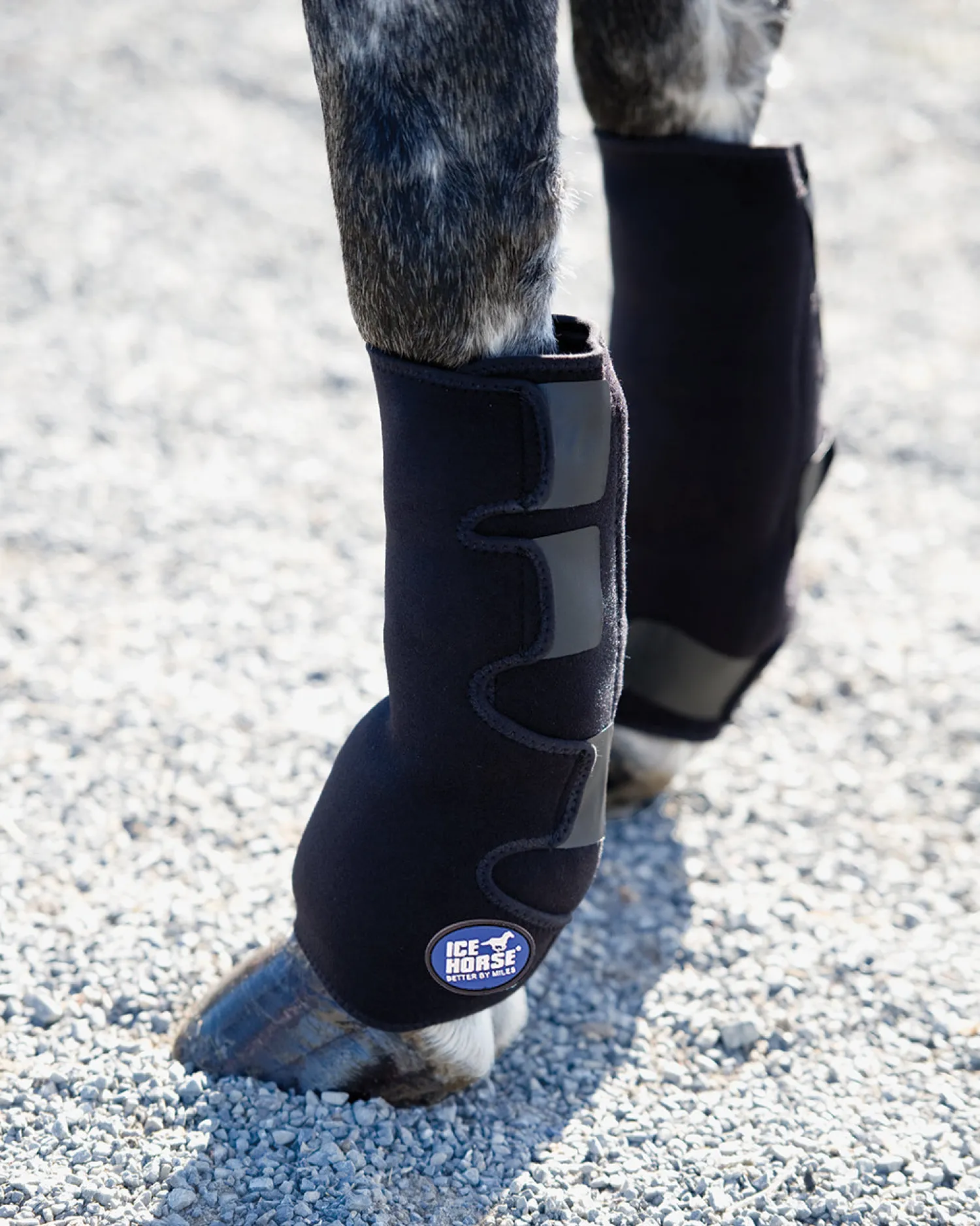 MACKINNON Ice Horse® Pony Suspensory Wrap - Pair Online