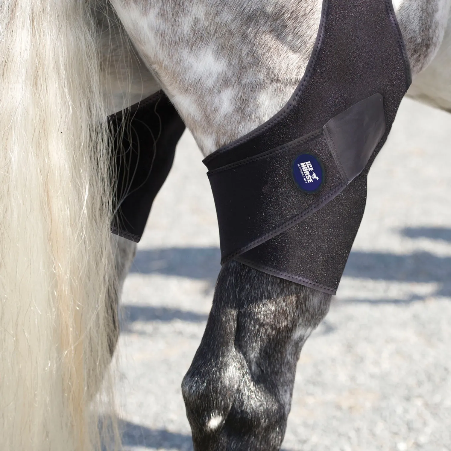 MACKINNON Ice Horse® Stifle Wraps Sale