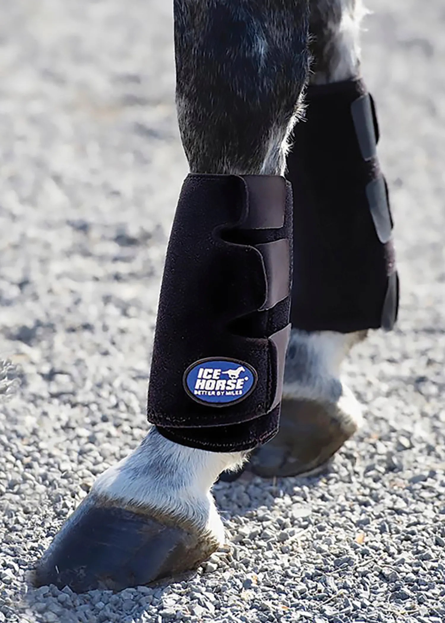 MACKINNON Ice Horse® Tendon Boots Hot