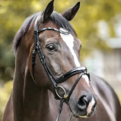 PEP-KAVALKADE Kavalkade Ivana Snaffle Bridle Black Patent Online