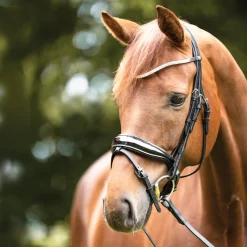 PEP-KAVALKADE Kavalkade Princess Browband Online