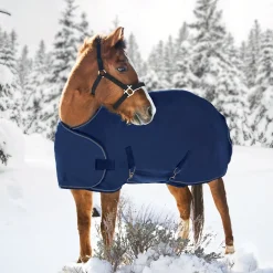 KENSINGTON ™ Adjustable Weanling Turnout Blanket Outlet