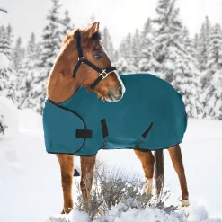 KENSINGTON ™ Adjustable Weanling Turnout Blanket Outlet