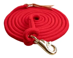 KENSINGTON ™ Clinician Tricolored Training Lead 15'