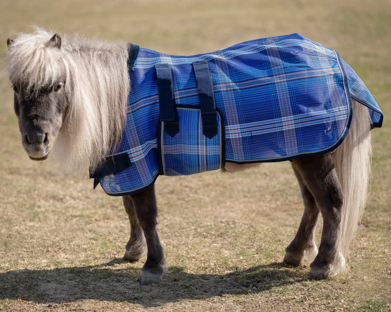 KENSINGTON ™ Mini Signature Textilene® Protective Fly Sheet New