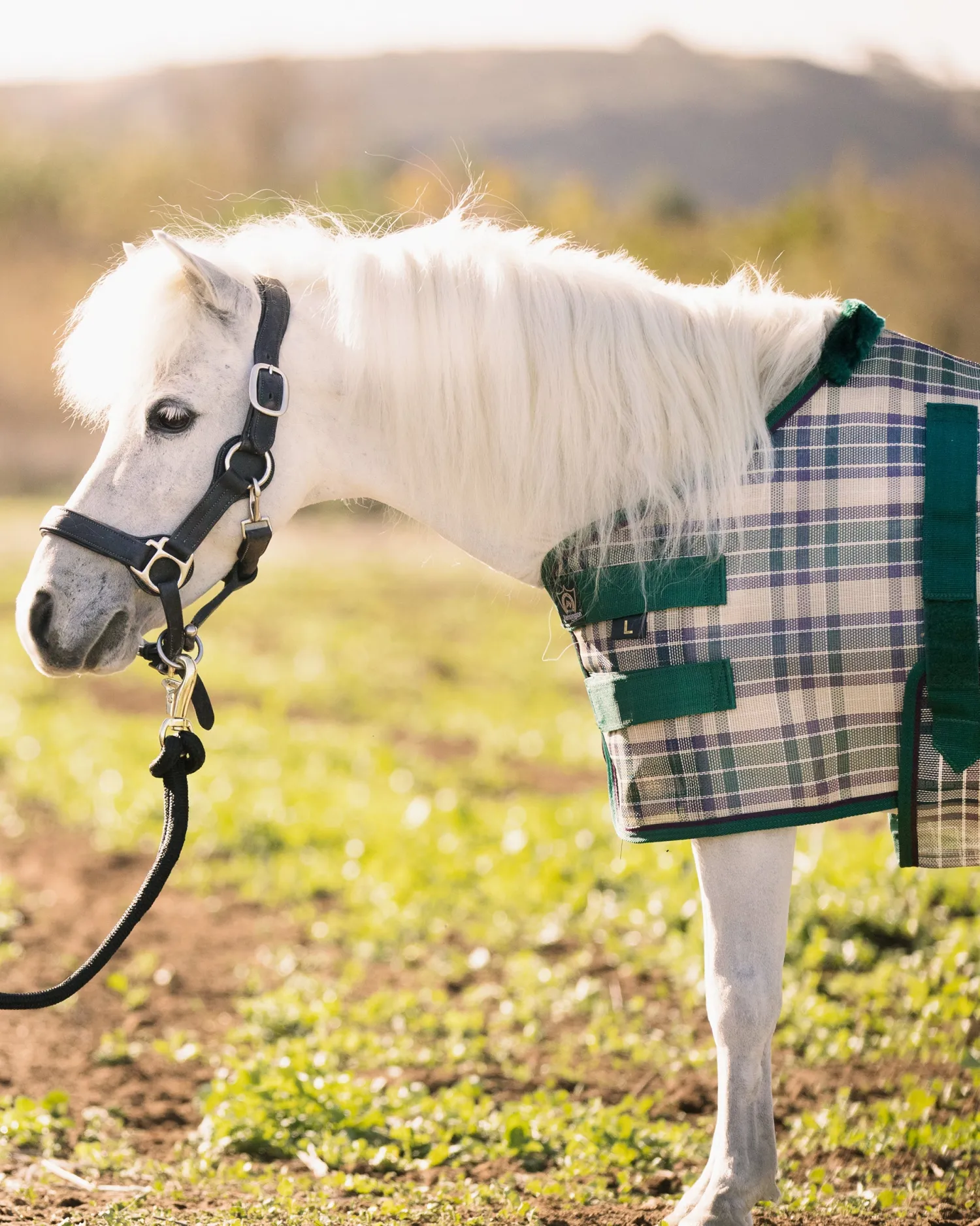 KENSINGTON ™ Mini Signature Textilene® Protective Fly Sheet New