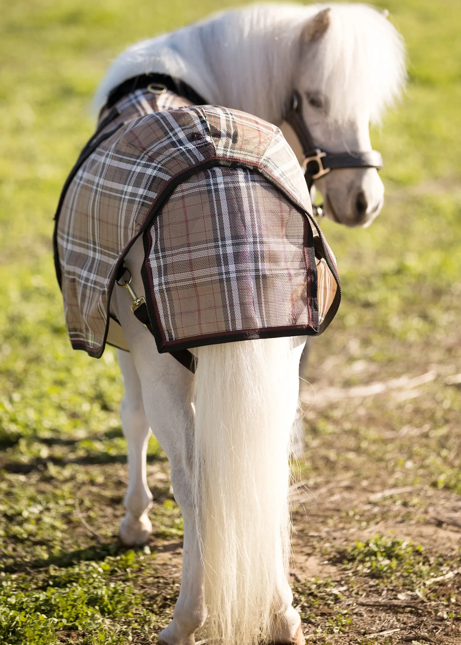 KENSINGTON ™ Mini Signature Textilene® Protective Fly Sheet New