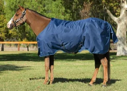 KENSINGTON ™ Pony Signature Medium Weight Turnout Blanket Outlet