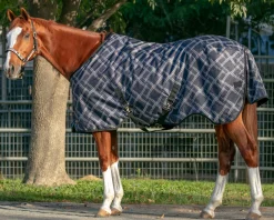 KENSINGTON ™ Pony Signature Heavyweight Turnout Blanket