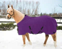 KENSINGTON ™ Pony Signature Heavyweight Turnout Blanket