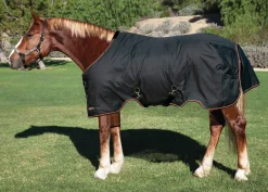 KENSINGTON ™ Pony Signature Lightweight Turnout Blanket Online