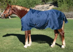 KENSINGTON ™ Pony Signature Lightweight Turnout Blanket Online