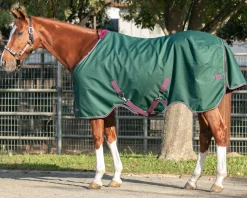 KENSINGTON ™ Pony Signature Lightweight Turnout Blanket Online