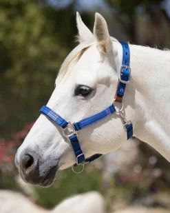 KENSINGTON ™ Premium Breakaway Halter Best