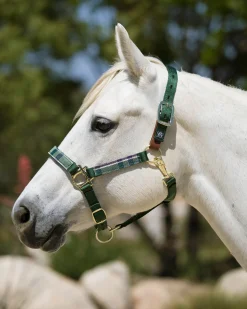 KENSINGTON ™ Premium Breakaway Halter Best