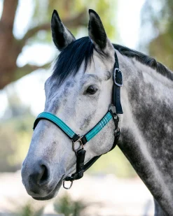 KENSINGTON ™ Premium Breakaway Halter Best
