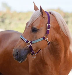 KENSINGTON ™ Premium Breakaway Halter Best