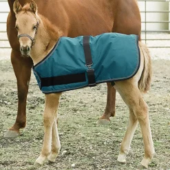 KENSINGTON ™ Signature Adjustable Large Foal Turnout Outlet