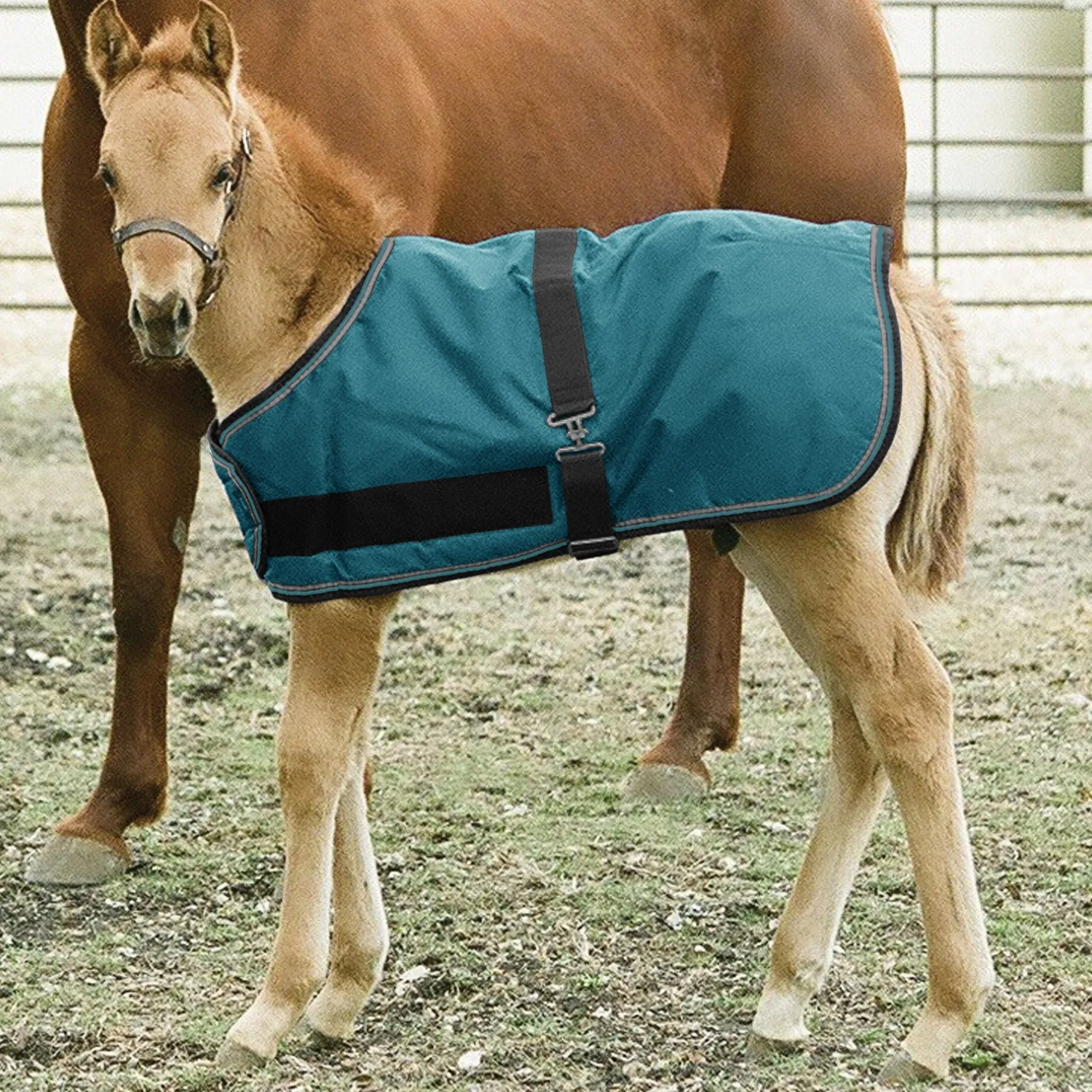 KENSINGTON ™ Signature Adjustable Large Foal Turnout Outlet
