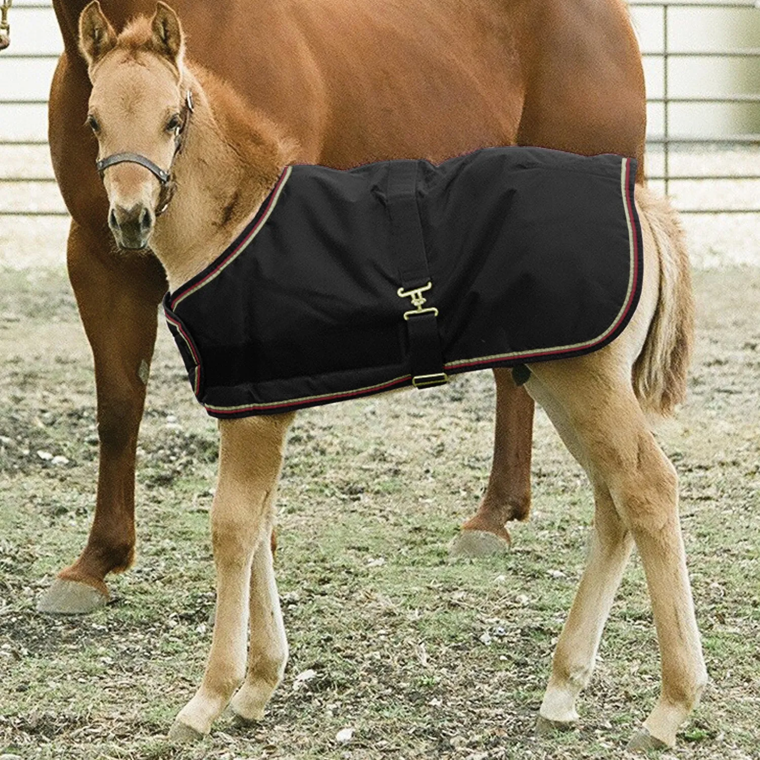 KENSINGTON ™ Signature Adjustable Large Foal Turnout Outlet
