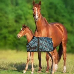 KENSINGTON ™ Signature Adjustable Large Foal Turnout Outlet