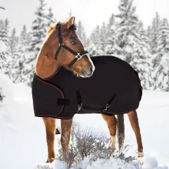 KENSINGTON ™ Signature Adjustable Yearling Turnout Blanket Clearance