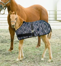 KENSINGTON ™ Signature Adjustable Small Foal Turnout Blanket New