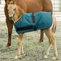 KENSINGTON ™ Signature Adjustable Small Foal Turnout Blanket New