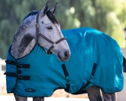 KENSINGTON ™ Signature Heavyweight Turnout Blanket