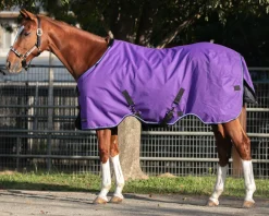KENSINGTON ™ Signature Heavyweight Turnout Blanket