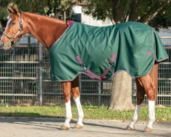 KENSINGTON ™ Signature Heavyweight Turnout Blanket