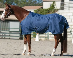 KENSINGTON ™ Signature Medium-Weight Turnout Blanket Best