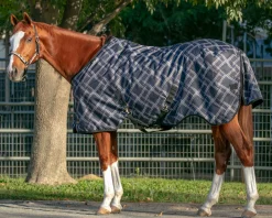 KENSINGTON ™ Signature Medium-Weight Turnout Blanket Best