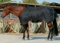 KENSINGTON ™ Signature Medium-Weight Turnout Blanket Best