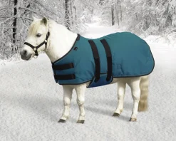 KENSINGTON ™ Signature Mini Heavyweight Turnout Blanket Online