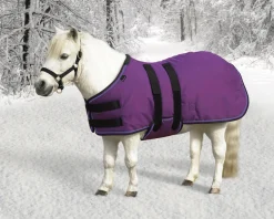 KENSINGTON ™ Signature Mini Heavyweight Turnout Blanket Online