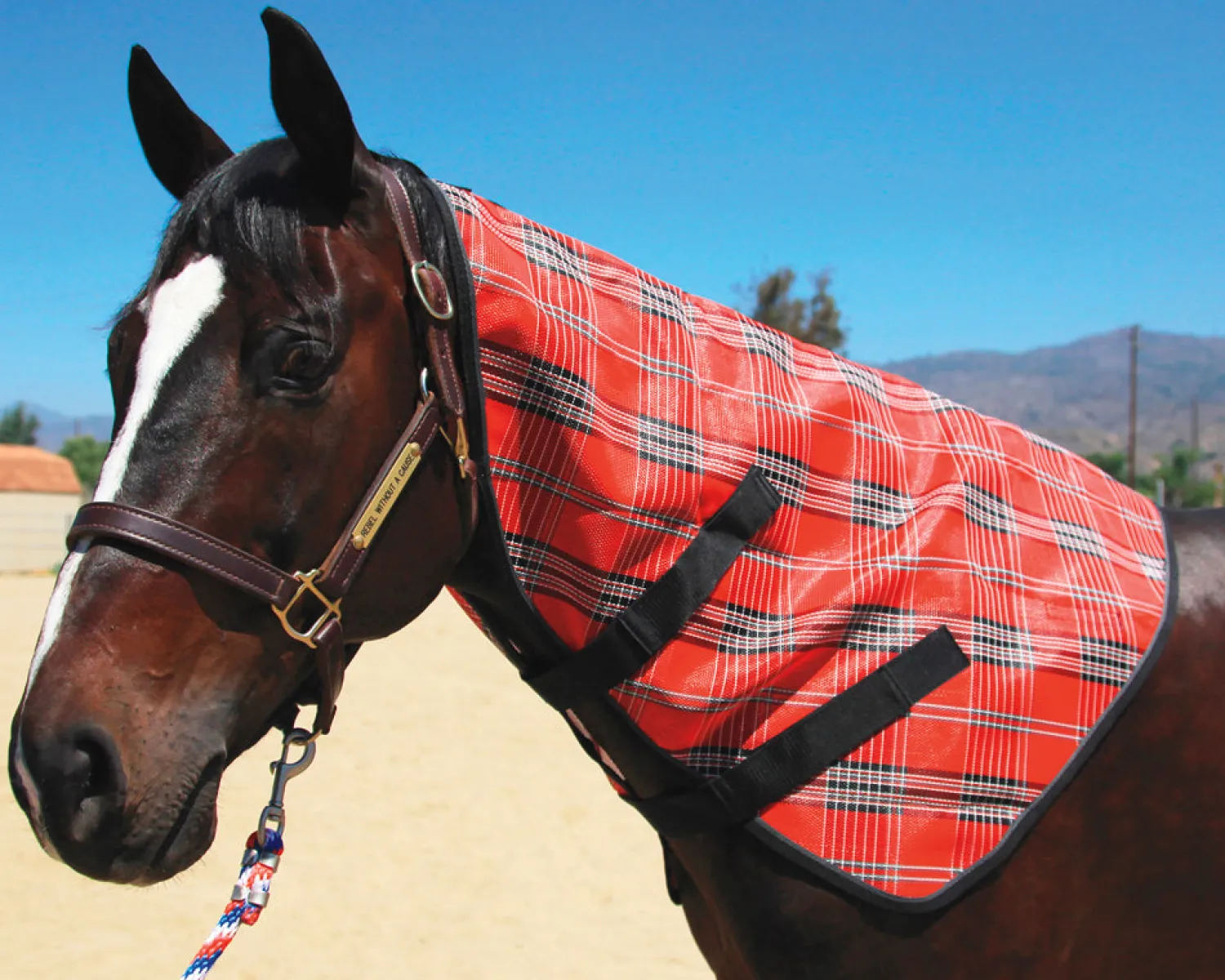 KENSINGTON ™ Signature Textilene® Neck Cover Best