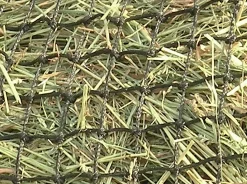 KENSINGTON ™ Slow Feed 2-Flake Hay Bag Online