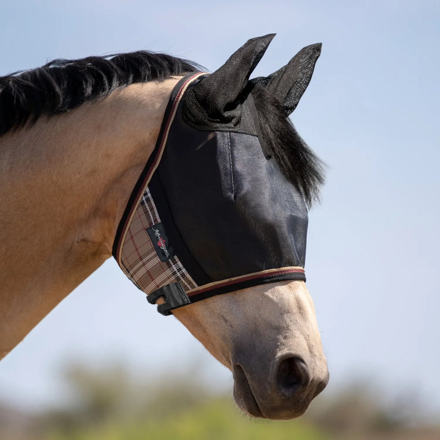 KENSINGTON ™ UViator CatchMask Protective Mask with Ears & Forelock Opening Clearance