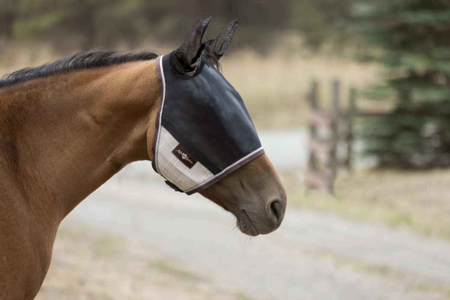 KENSINGTON ™ UViator CatchMask Protective Mask with Ears & Forelock Opening Clearance