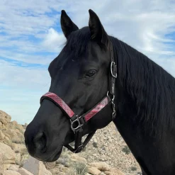 KENSINGTON ™ Premium Halter Outlet