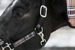 KENSINGTON ™ Premium Halter Outlet