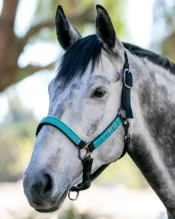 KENSINGTON ™ Premium Halter Outlet