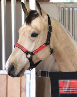 KENSINGTON ™ Premium Halter Outlet