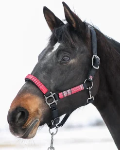 KENSINGTON ™ Premium Halter Outlet