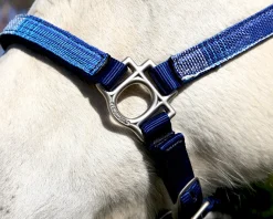 KENSINGTON ™ Premium Halter Outlet