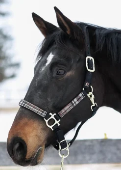 KENSINGTON ™ Premium Halter Outlet