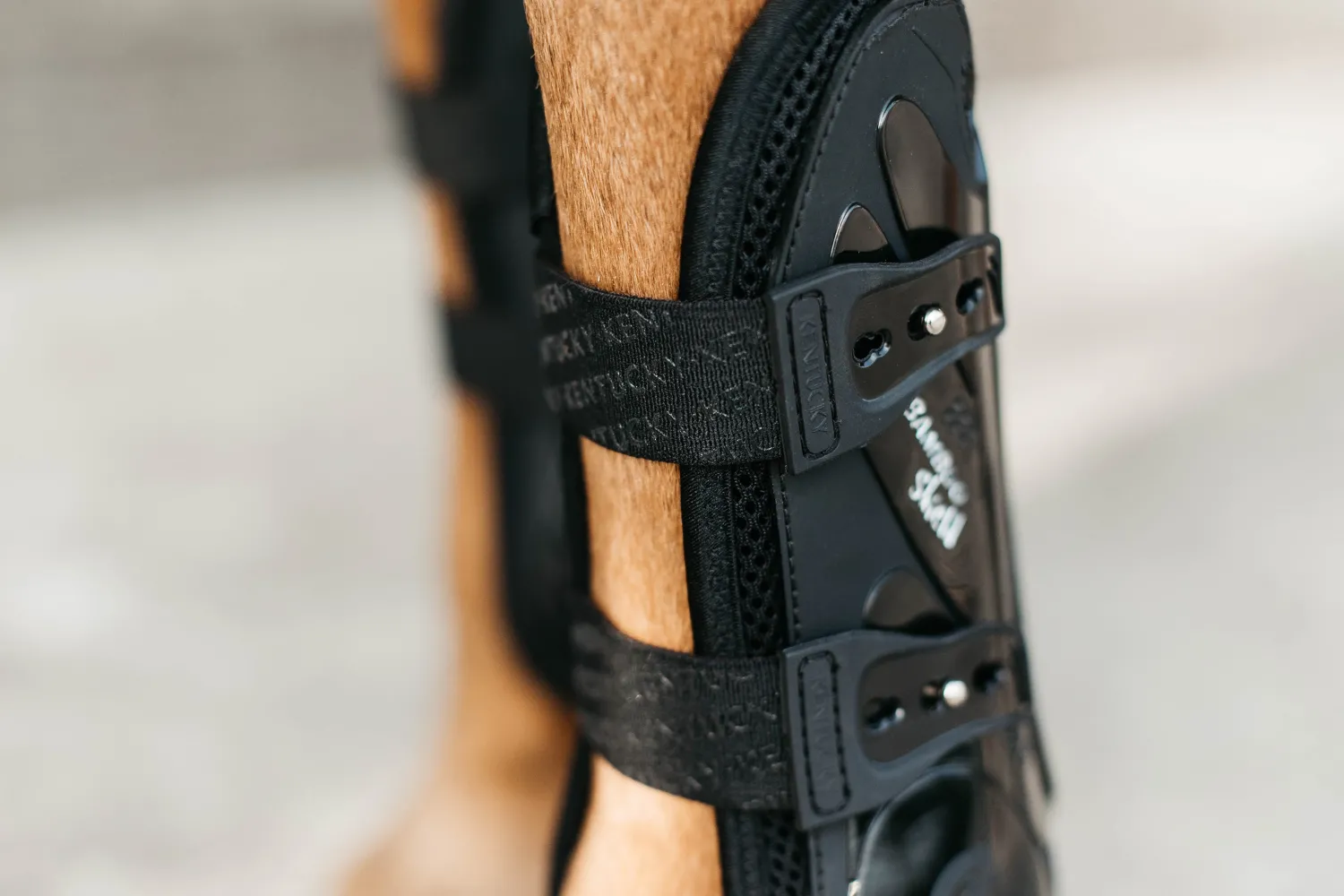 KENTUCKY HORSEWEAR Bamboo Elastic Tendon Boots Black New