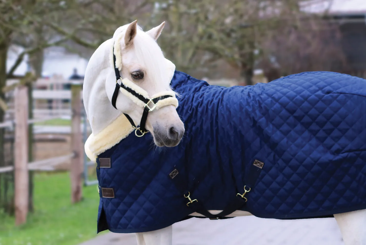 KENTUCKY HORSEWEAR Show Rug Navy Online